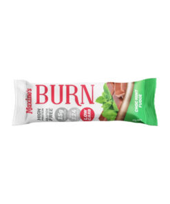 Maxine's Burn Protein Bars Single Choc Mint Fudge 40g Bar