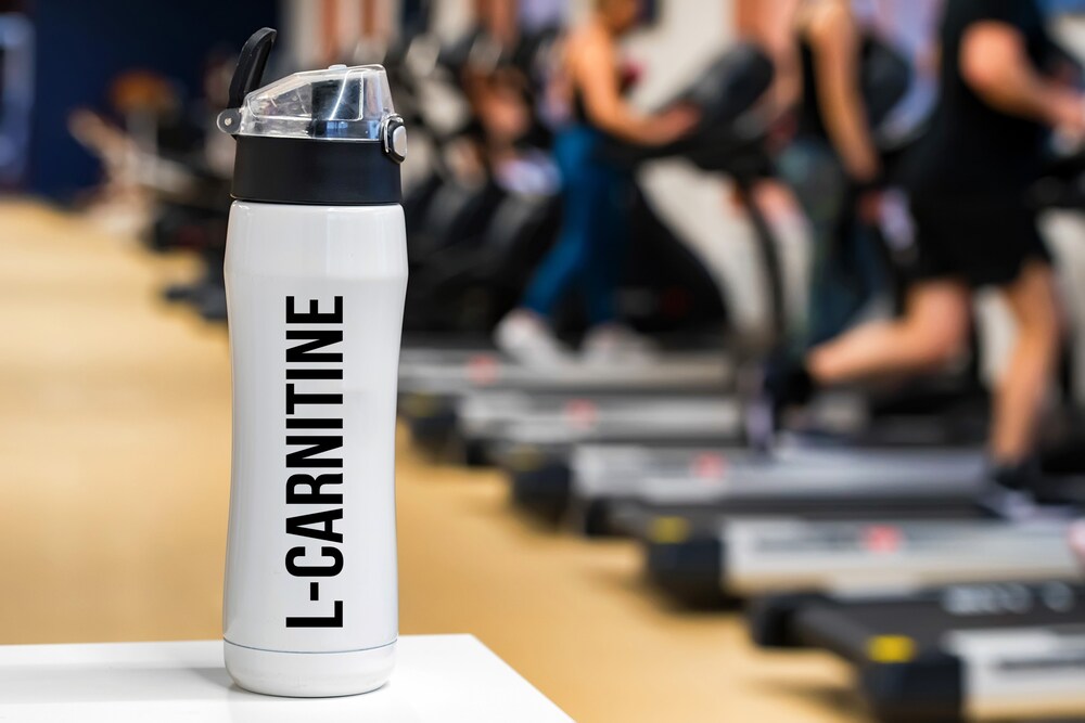 What Does L Carnitine Do In Pre Workout?